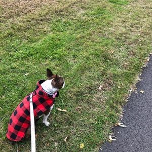 Meet your Posher, Elaine